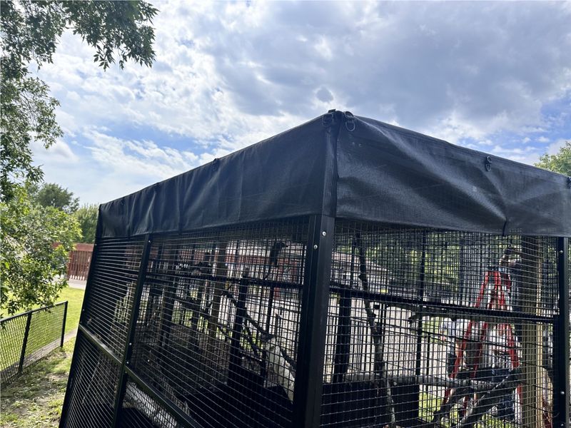 Fabric and mesh monkey enclosure DMP built for the zoo in Little Falls, Minnesota
